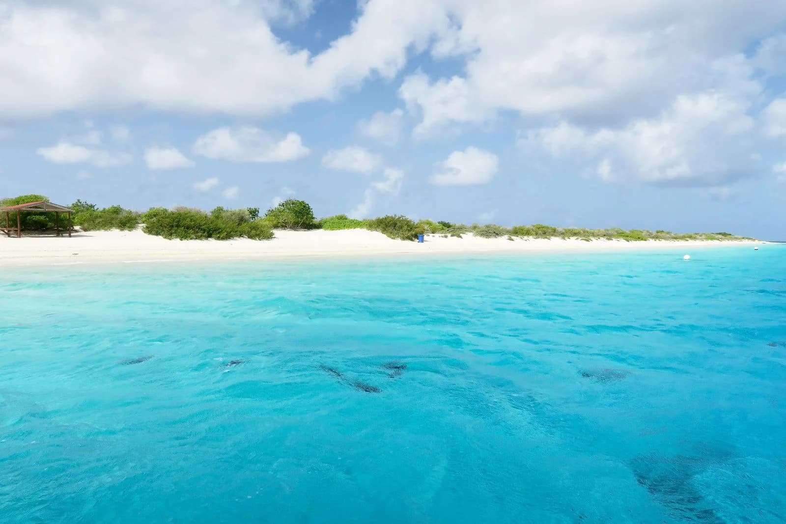 Heldenafbeelding voor Bonaire, Sint Eustatius en Saba
