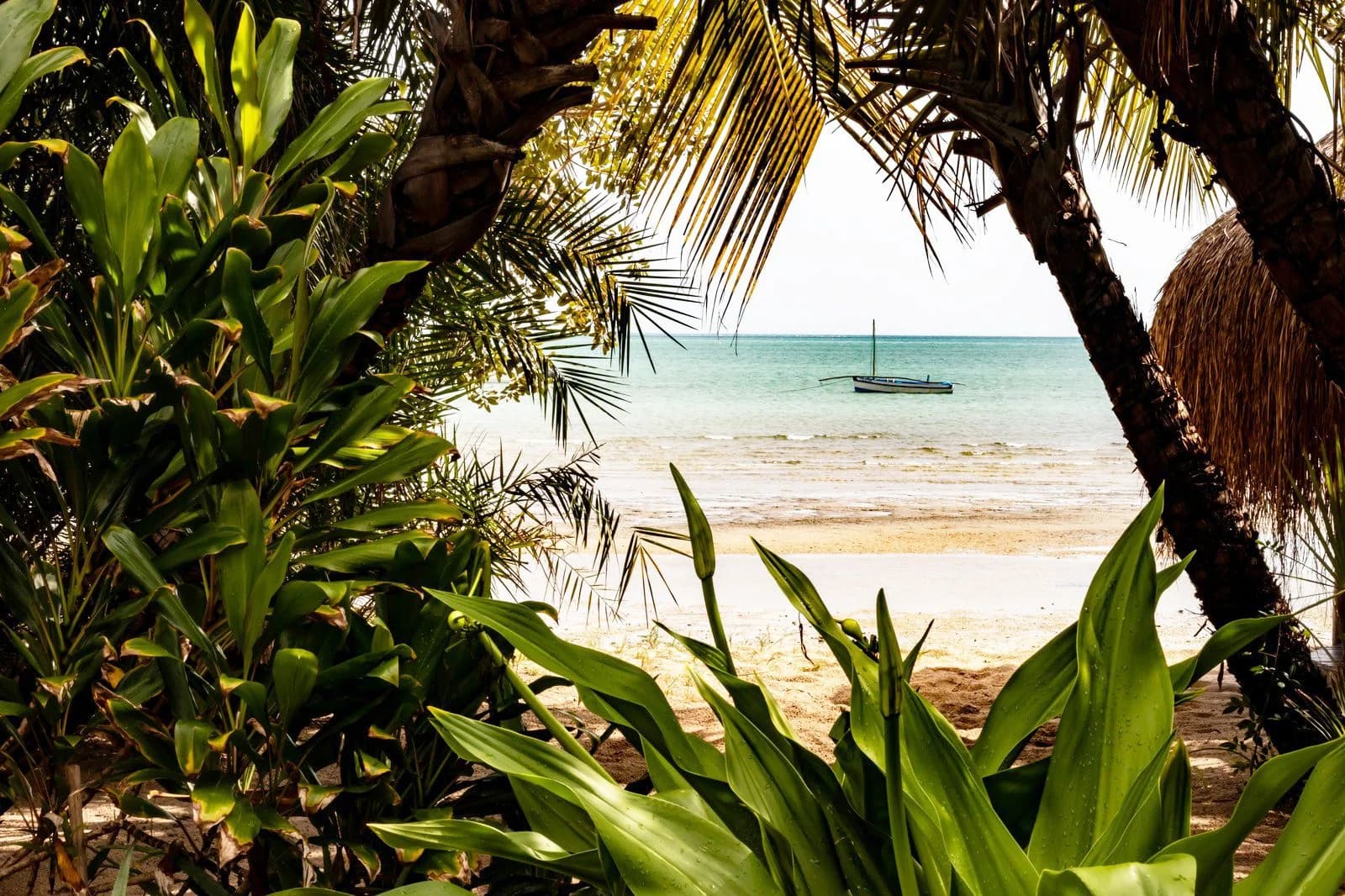 Heldenafbeelding voor Mozambique