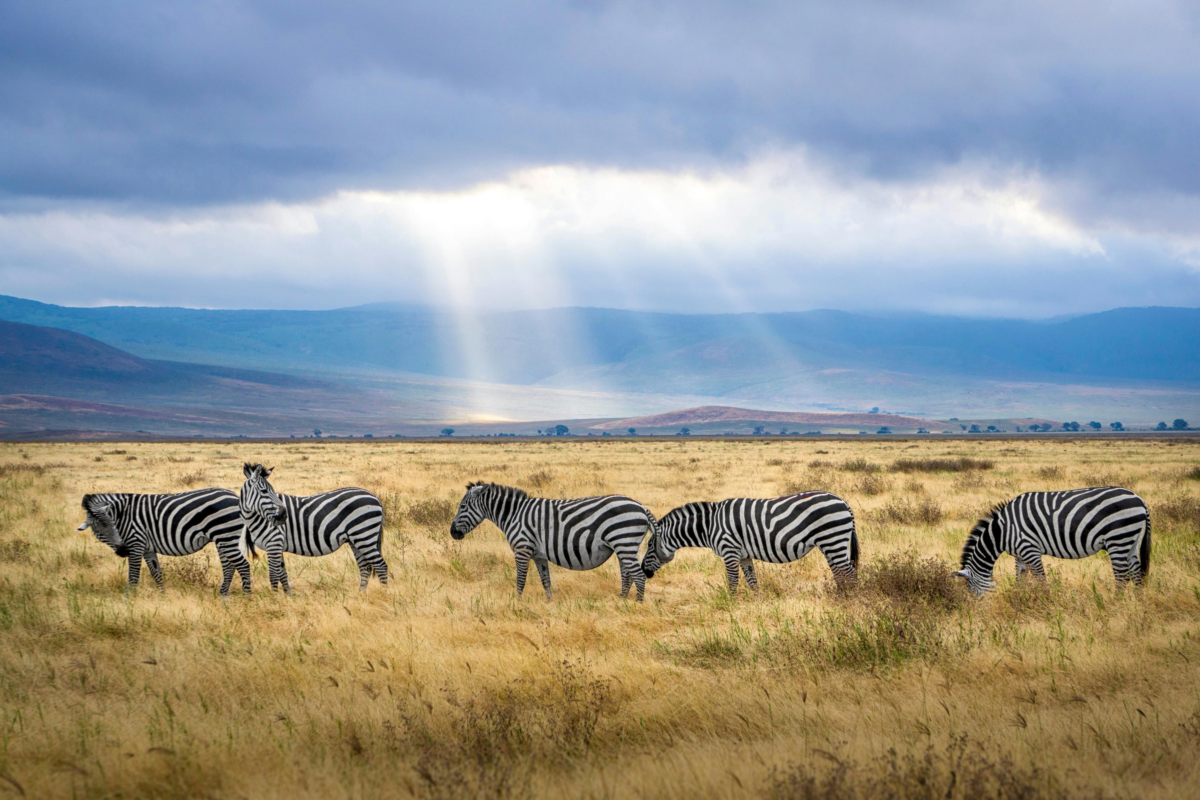 Heldenafbeelding voor Tanzania