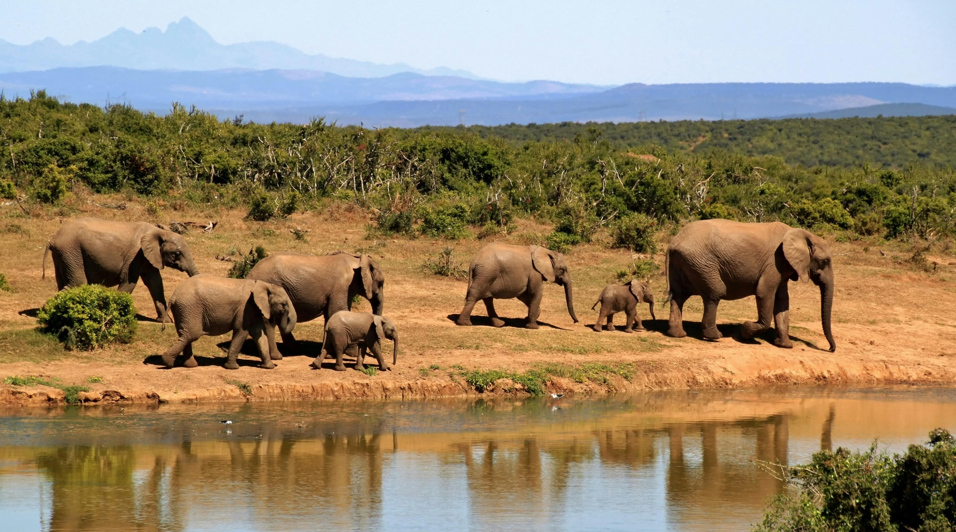 Heldenafbeelding voor Zuid-Afrika