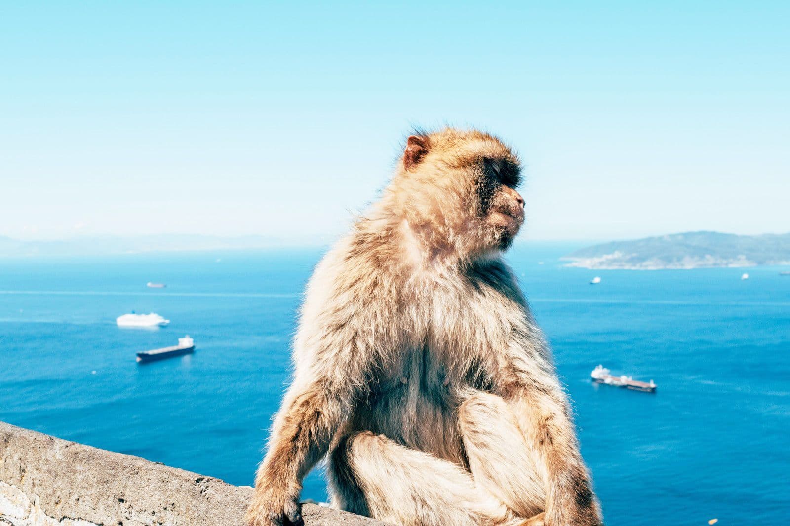 Heldenafbeelding voor Gibraltar