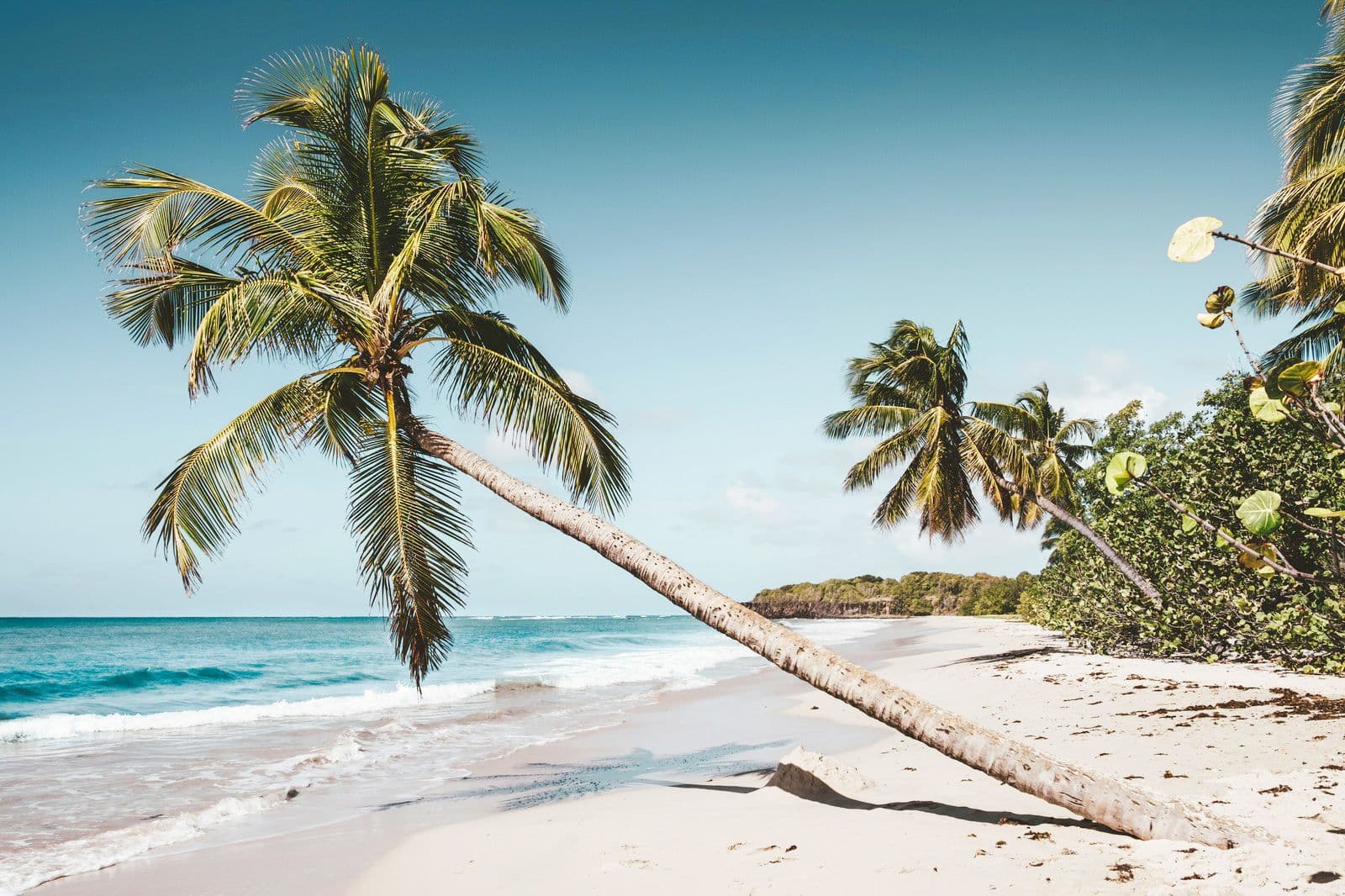 Heldenafbeelding voor Martinique