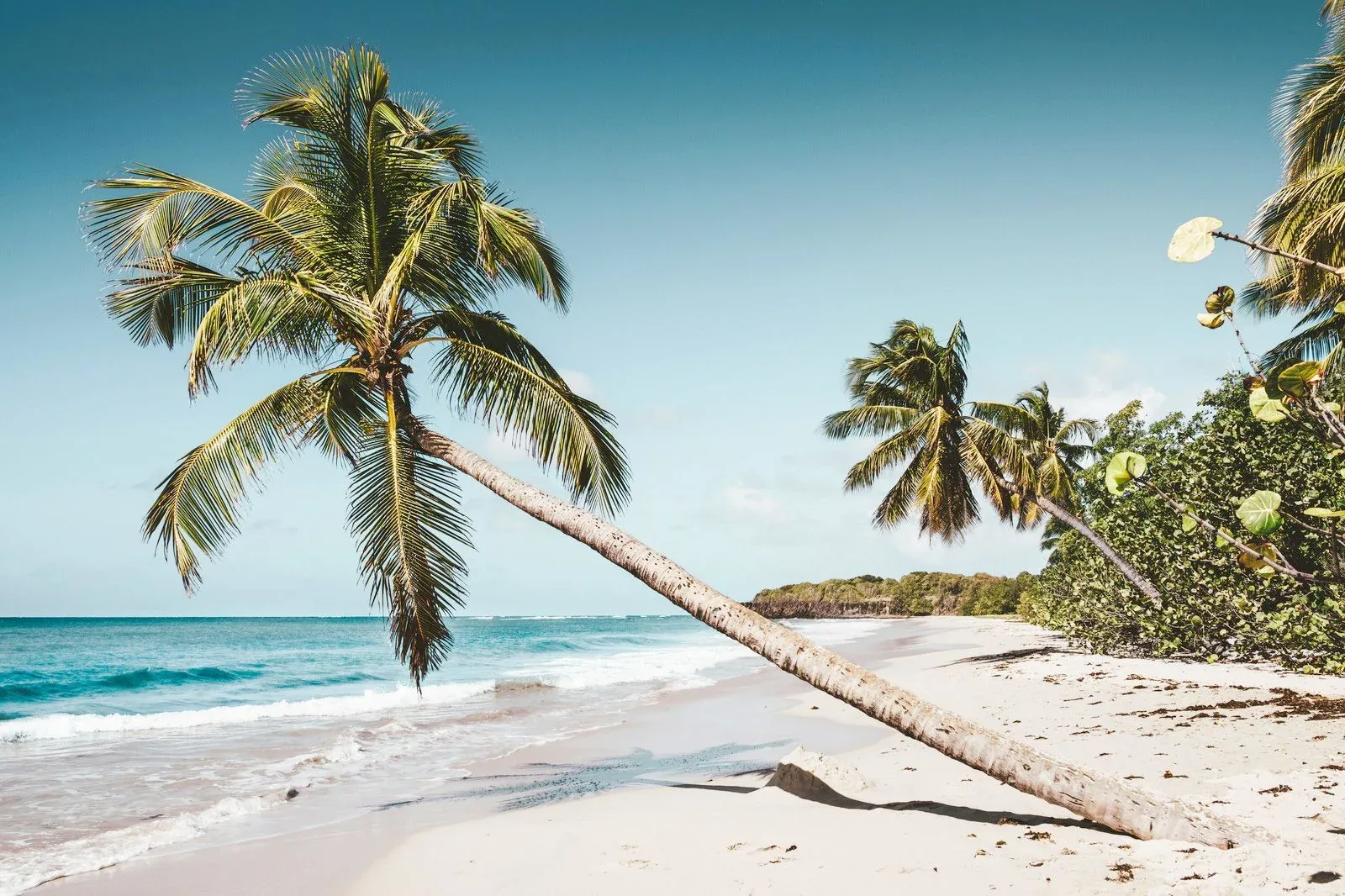 Heldenafbeelding voor Martinique