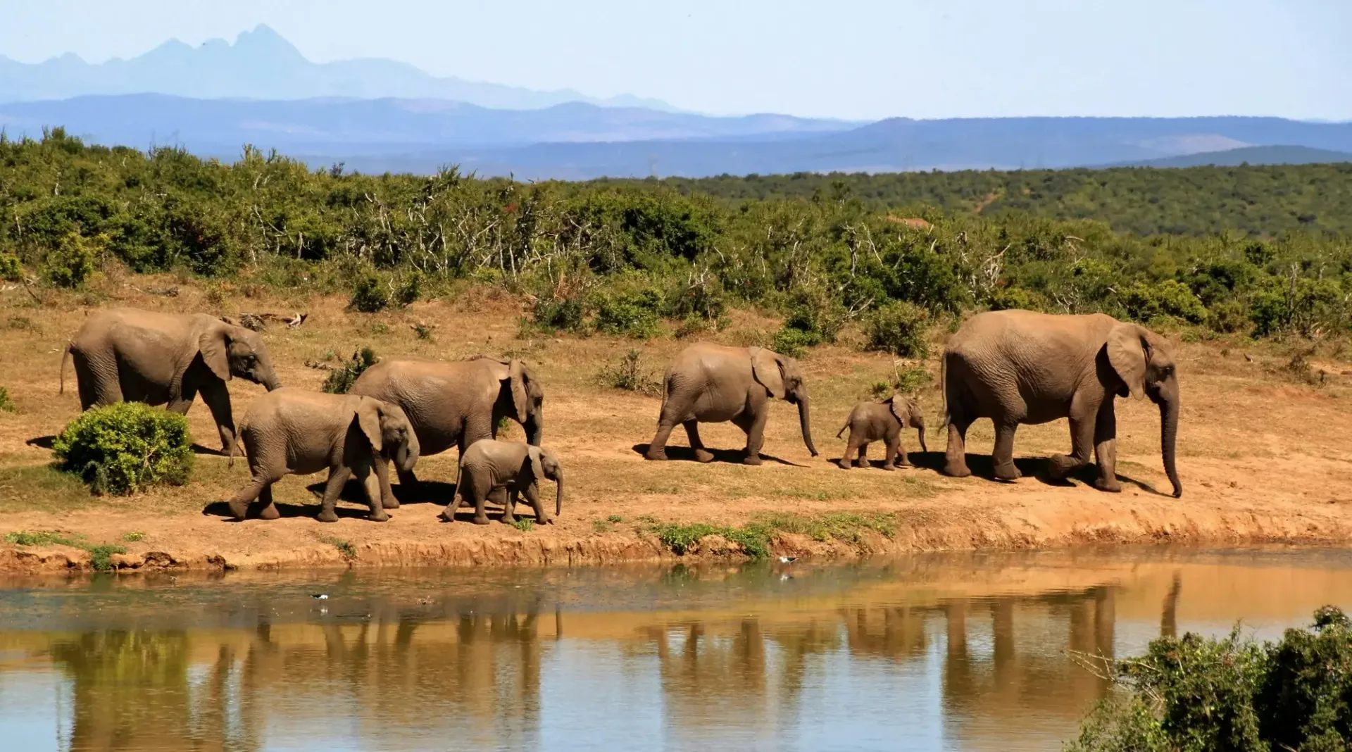 Heldenafbeelding voor Zuid-Afrika